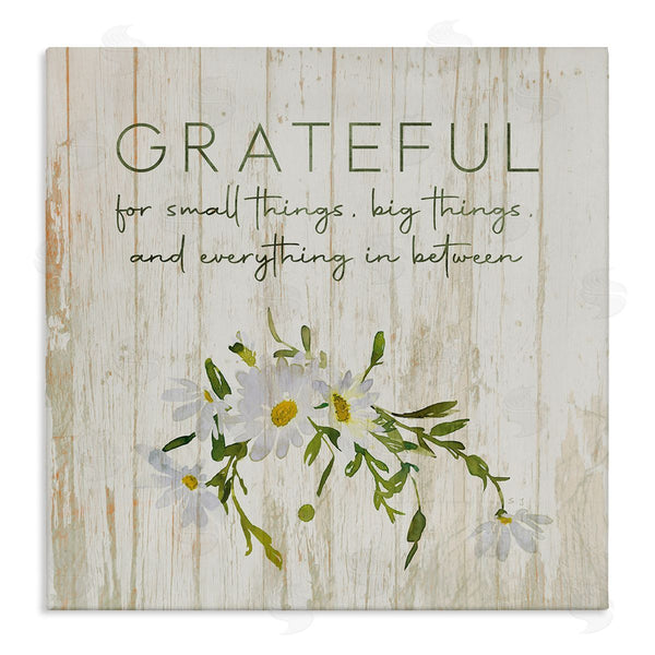 stupell industries Susan Jill | Grateful for Small Big In Between Motivational Phrase Wall Art