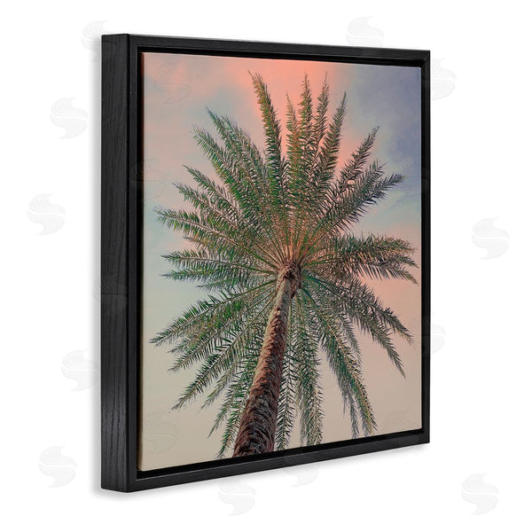 Stupell Industries Susan Jill | Palm Up Against Sunset