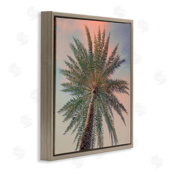 Stupell Industries Susan Jill | Palm Up Against Sunset