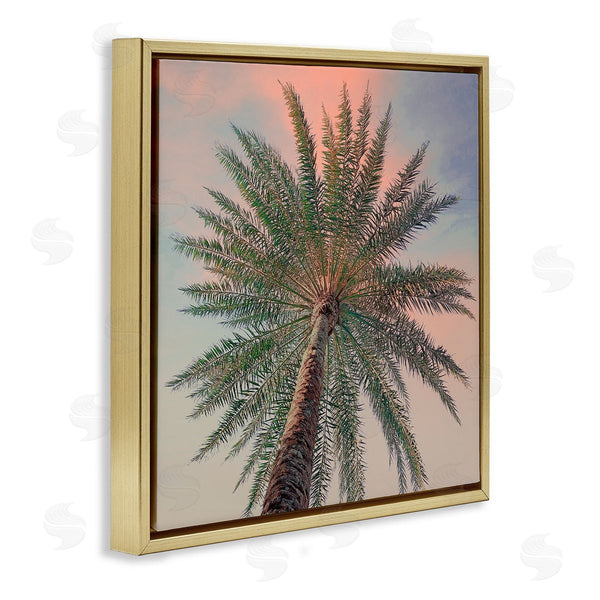 Stupell Industries Susan Jill | Palm Up Against Sunset