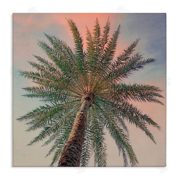 stupell industries Susan Jill | Palm Up Against Sunset