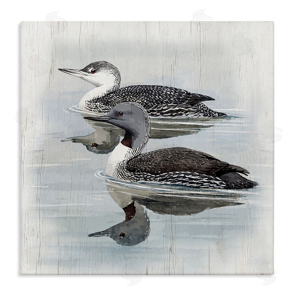 stupell industries Susan Jill | Twin Loons in Water Wall Art