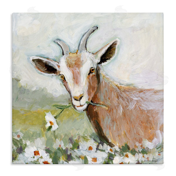 stupell industries Susan Winget | Pastoral Goat & Daisy