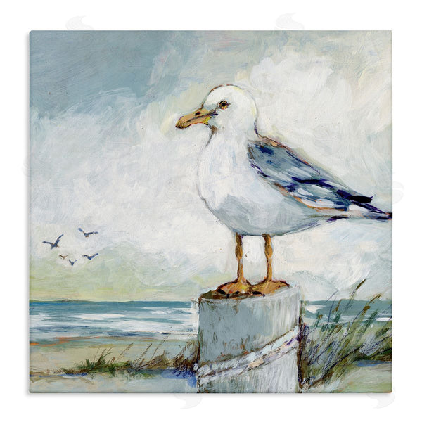 stupell industries Susan Winget | Seagull Marine Beach Scene