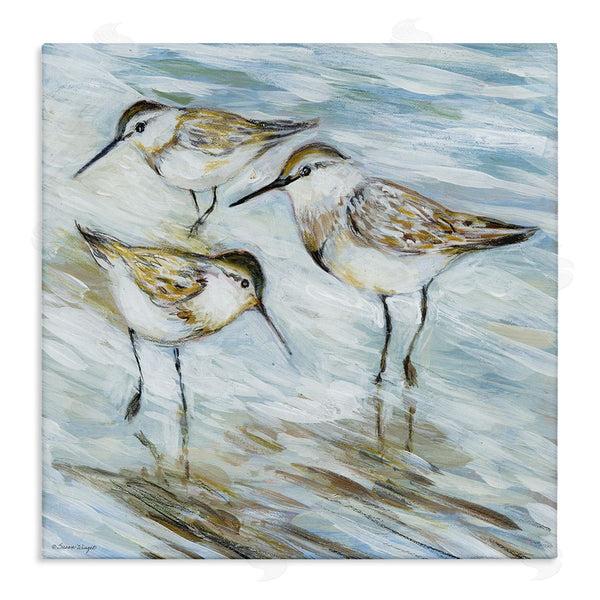 stupell industries Susan Winget | Wetlands Sandpiper Trio