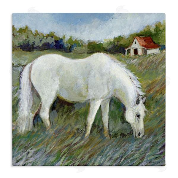 stupell industries Susan Winget | White Horse In Field