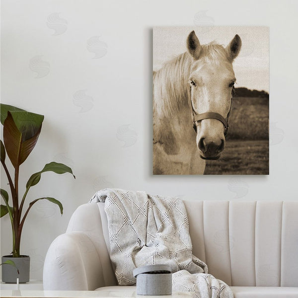 Stupell Industries Suzanne Foschino | Rustic Sepia Tone Portrait Of White Horse Wall Art
