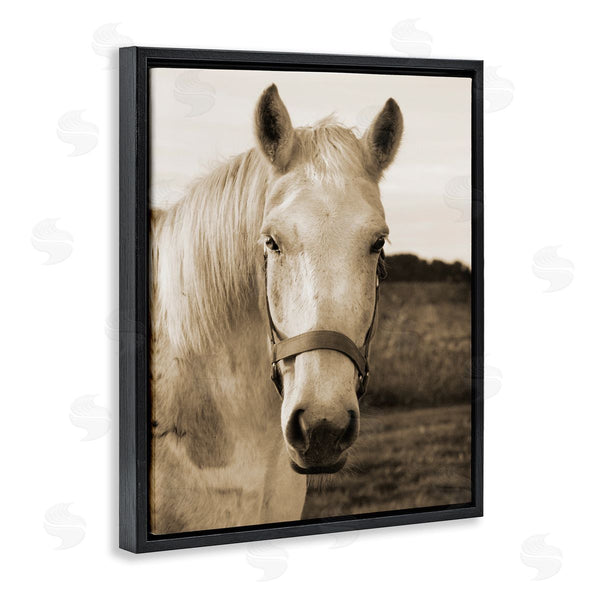 Stupell Industries Suzanne Foschino | Rustic Sepia Tone Portrait Of White Horse Wall Art