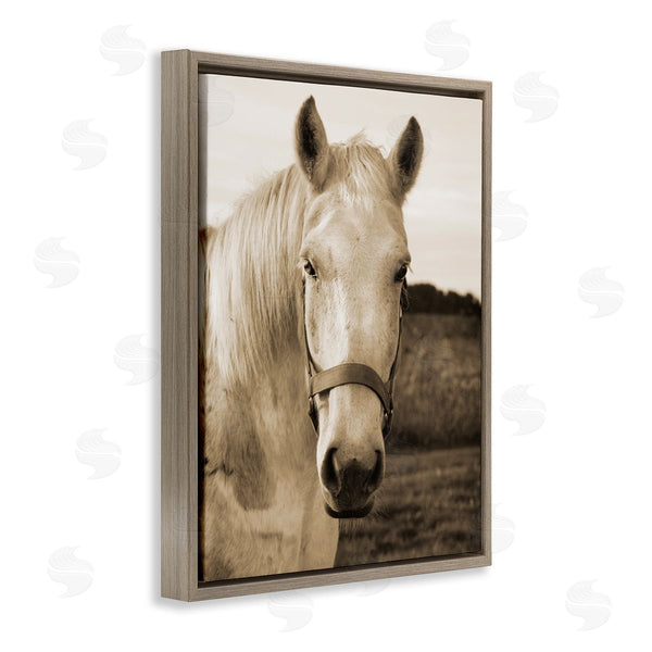 Stupell Industries Suzanne Foschino | Rustic Sepia Tone Portrait Of White Horse Wall Art