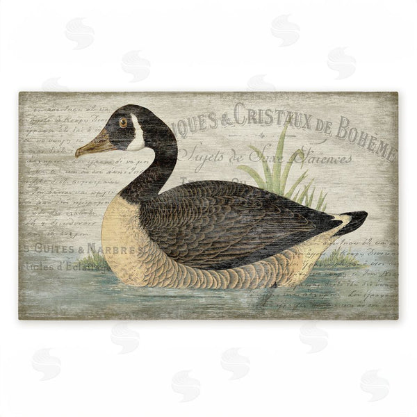 stupell industries Suzanne Nicoll | French Goose Vintage Motif Non-Woven Door Mat