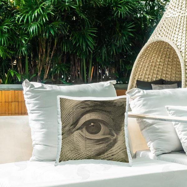 Stupell Industries Svetlana Aleynikova | Franklin's Gaze Eye Throw Pillow