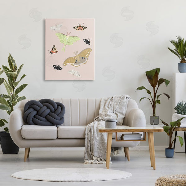 Stupell Industries Sweet Melody Designs | Moths & Butterflies On Pink Wall Art