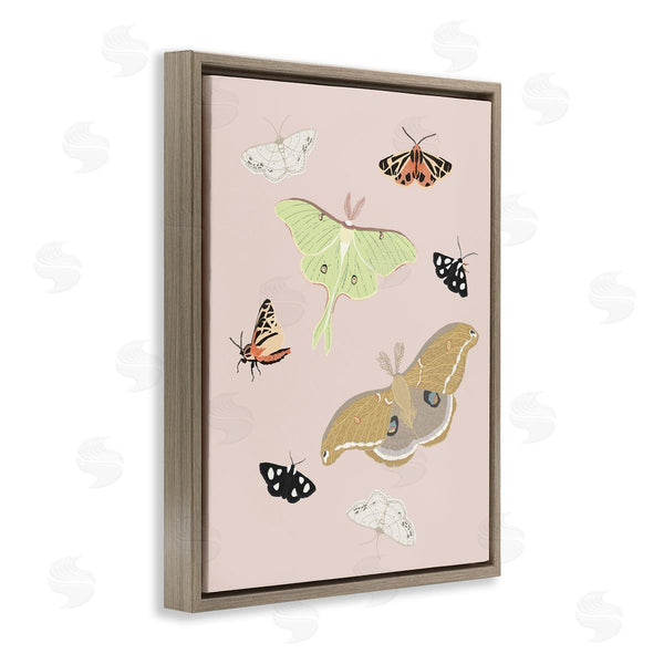 Stupell Industries Sweet Melody Designs | Moths & Butterflies On Pink Wall Art