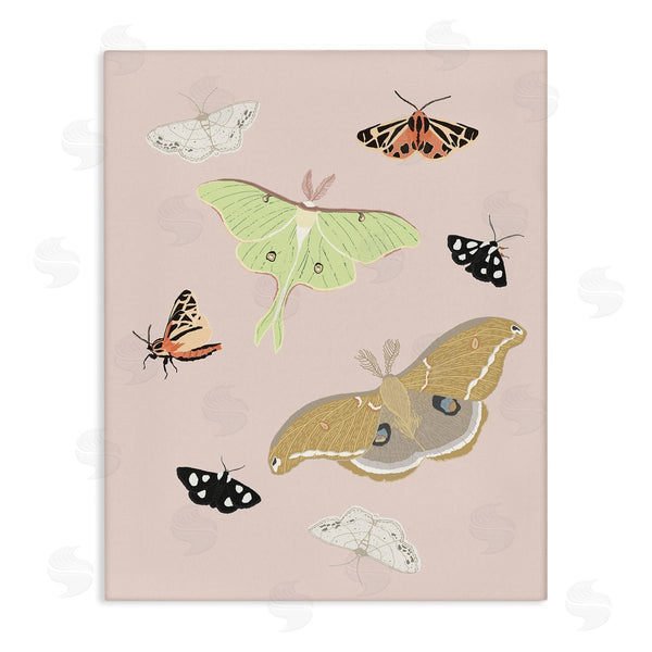 stupell industries Sweet Melody Designs | Moths & Butterflies on Pink Wall Art