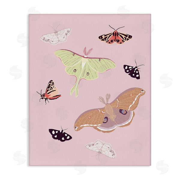 stupell industries Sweet Melody Designs | Varied Moth Pattern Wall Art