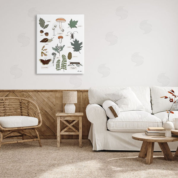 Stupell Industries Sweet Melody Designs | Woodland Nature Studies Wall Art