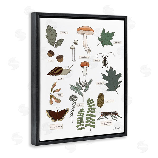 Stupell Industries Sweet Melody Designs | Woodland Nature Studies Wall Art