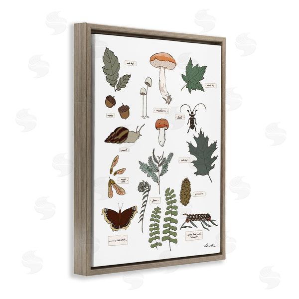 Stupell Industries Sweet Melody Designs | Woodland Nature Studies Wall Art