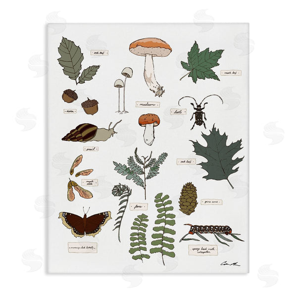 stupell industries Sweet Melody Designs | Woodland Nature Studies Wall Art