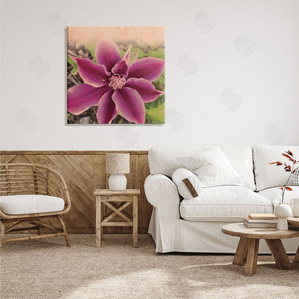 Stupell Industries Tammy Apple | Pink Clematis Flower Petals Blooming Sun Bleached Tones Wall Art