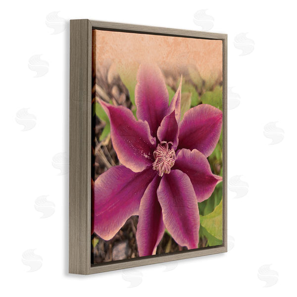 Stupell Industries Tammy Apple | Pink Clematis Flower Petals Blooming Sun Bleached Tones Wall Art