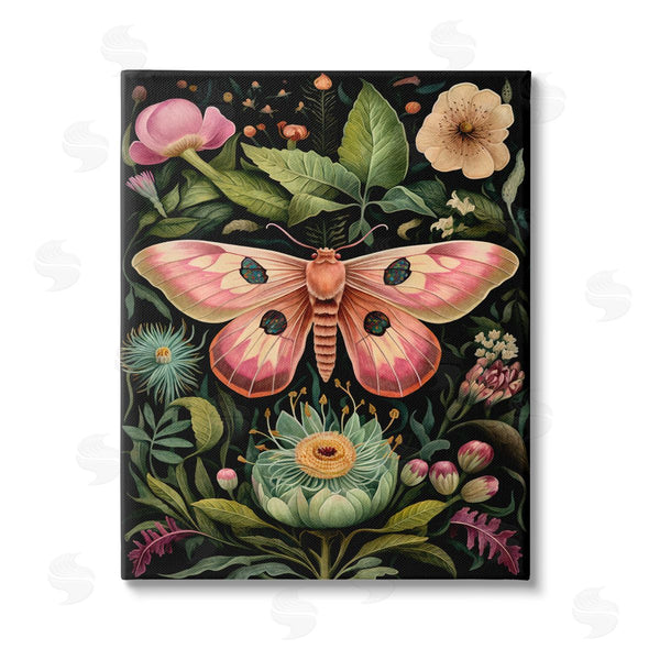 stupell industries The Dutch Lady | Vintage Botanical Moth Wall Art