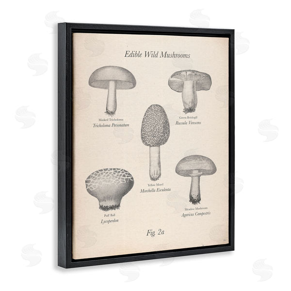 Stupell Industries The Saturday Evening Post | Edible Wild Mushrooms Vintage