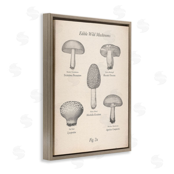 Stupell Industries The Saturday Evening Post | Edible Wild Mushrooms Vintage
