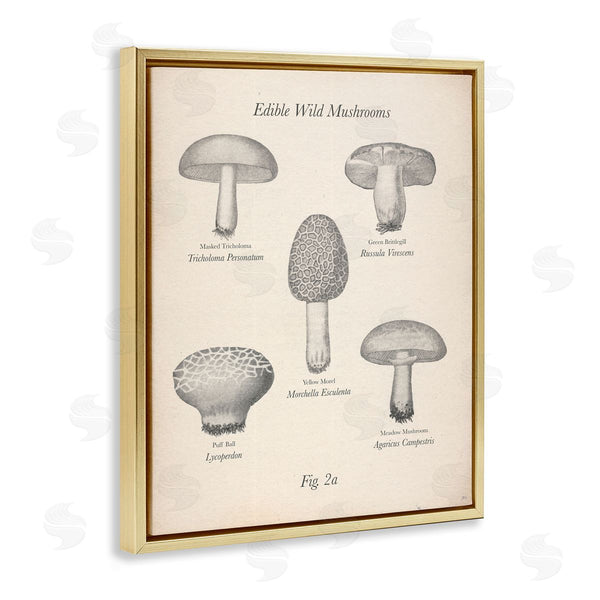 Stupell Industries The Saturday Evening Post | Edible Wild Mushrooms Vintage