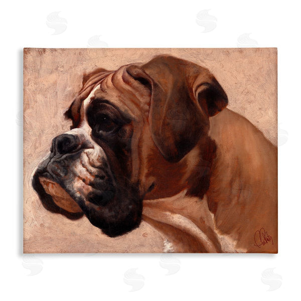 stupell industries Thomas Fluharty | Boxer Dog Neutral Portrait