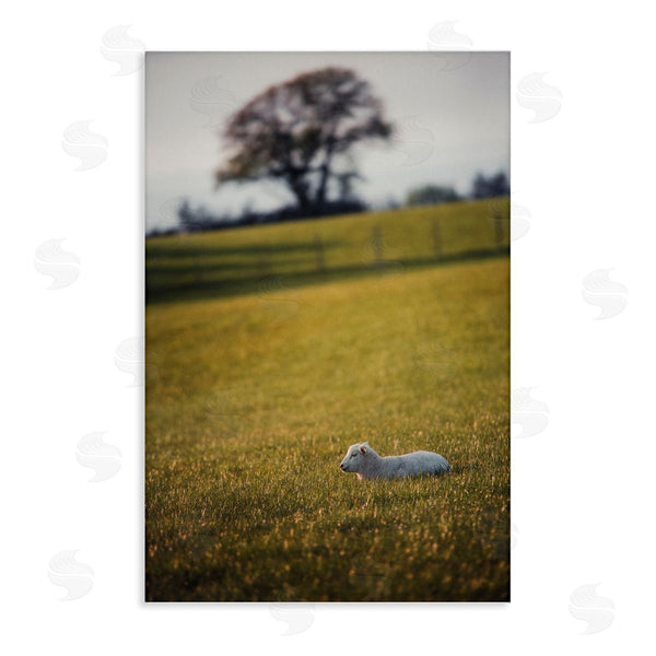 stupell industries Thomas Tepstad Berge | Lamb in Lush Farmland