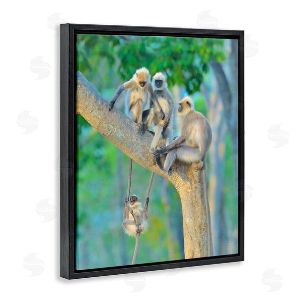 Stupell Industries Thomas Vijayan | Fun Playing Monkeys Wall Art