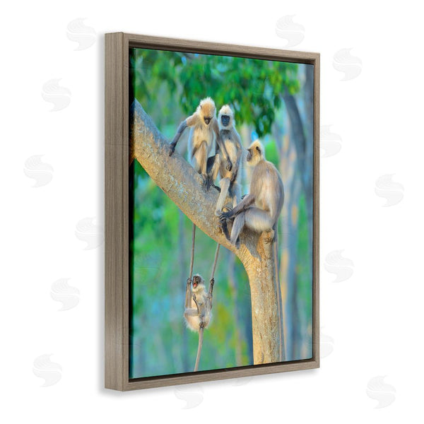 Stupell Industries Thomas Vijayan | Fun Playing Monkeys Wall Art