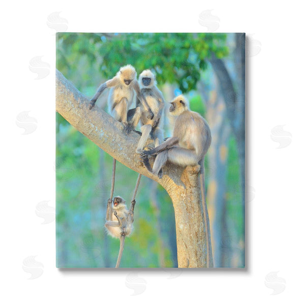stupell industries Thomas Vijayan | Fun Playing Monkeys Wall Art