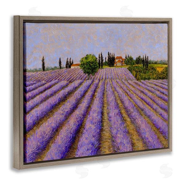 Stupell Industries Tim Coffey | Lavender Fields Farmland