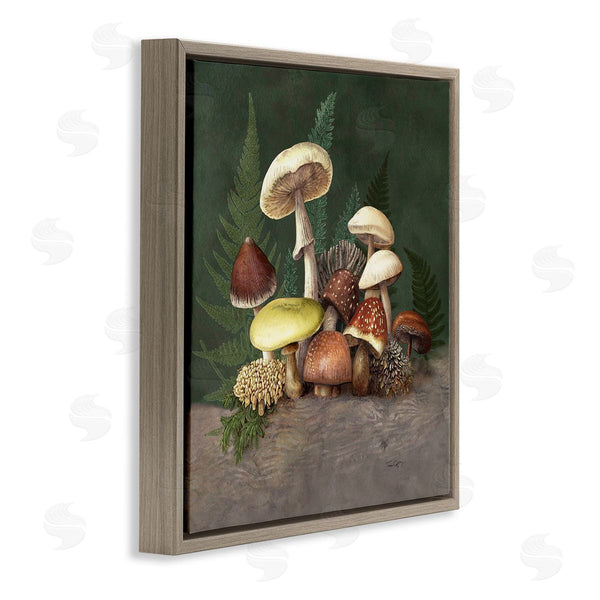 Stupell Industries Tim Coffey | Mushrooms And Ferns Nature