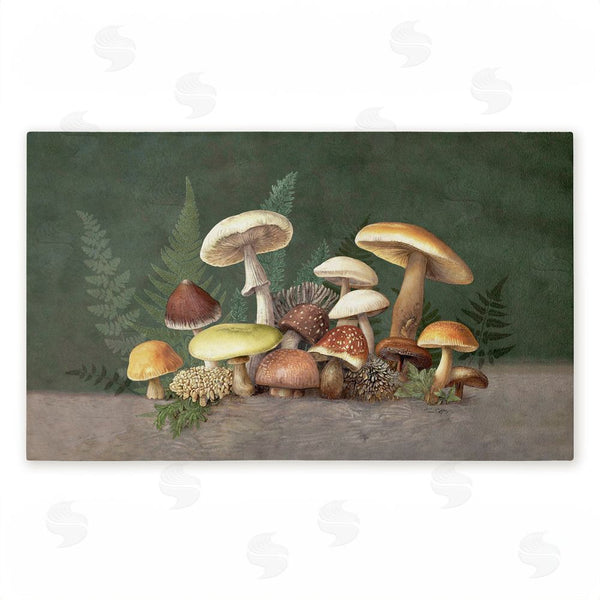stupell industries Tim Coffey | Mushrooms & Ferns on Green Non-Woven Door Mat