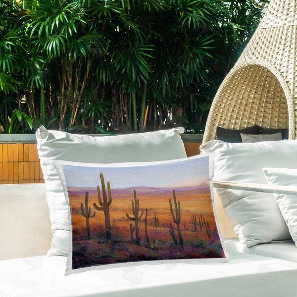 Stupell Industries Tim O'Toole | Canyon Cactus Landscape