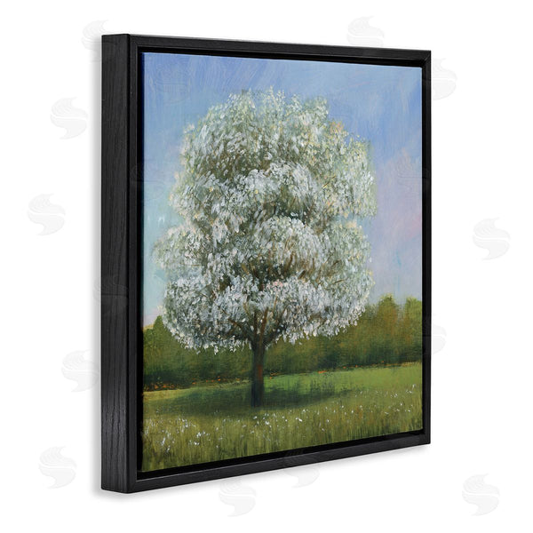 Stupell Industries Tim O'Toole | Spring Blossom Tree Floral Meadow