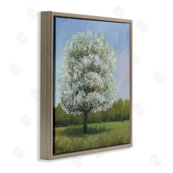 Stupell Industries Tim O'Toole | Spring Blossom Tree Floral Meadow