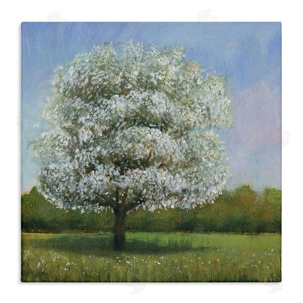 stupell industries Tim O'Toole | Spring Blossom Tree Floral Meadow