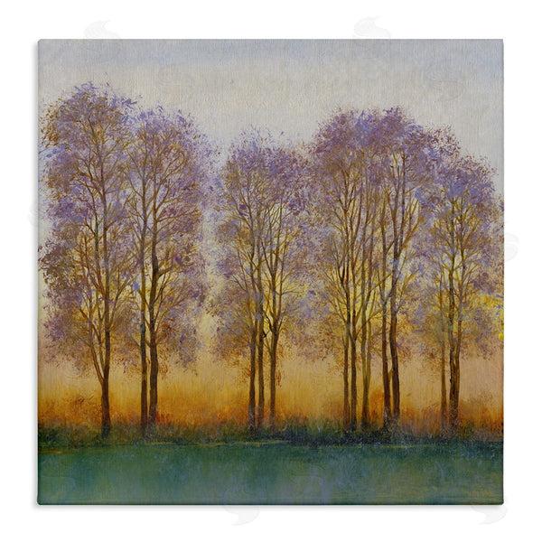stupell industries Tim O'Toole | Warm Sunset Sky Trees Silhouettes Nature Scene Wall Art