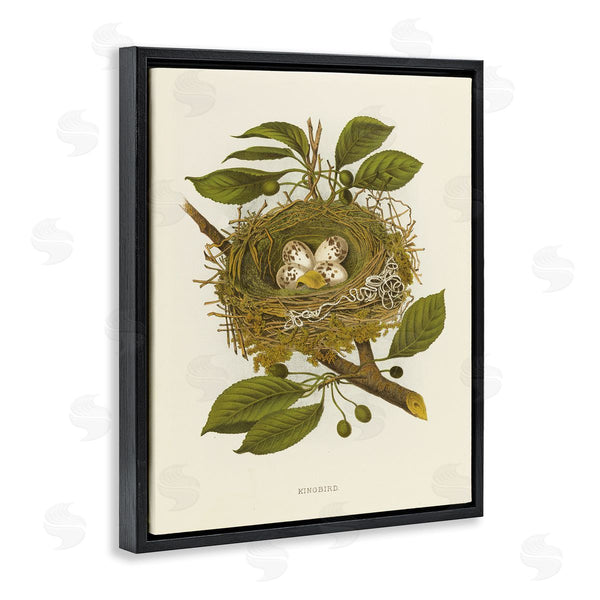 Stupell Industries Tina Higgins Designs Inc. | Birdnest With Spotted Eggs