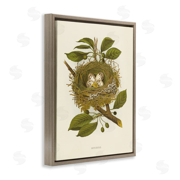 Stupell Industries Tina Higgins Designs Inc. | Birdnest With Spotted Eggs
