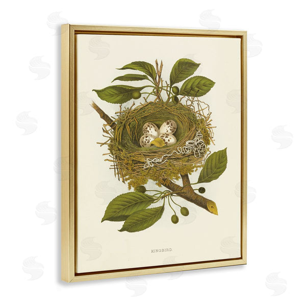 Stupell Industries Tina Higgins Designs Inc. | Birdnest With Spotted Eggs