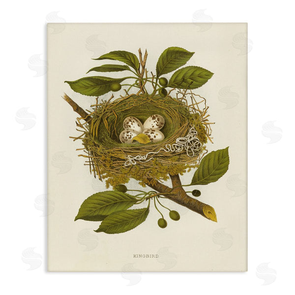 stupell industries Tina Higgins Designs Inc. | Birdnest with Spotted Eggs