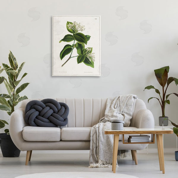 Stupell Industries Tina Higgins Designs Inc. | Blooming Vintage Study Wall Art