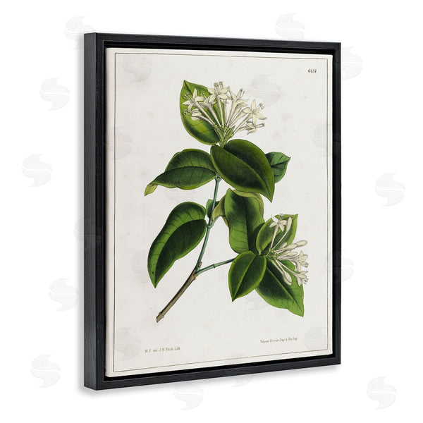 Stupell Industries Tina Higgins Designs Inc. | Blooming Vintage Study Wall Art
