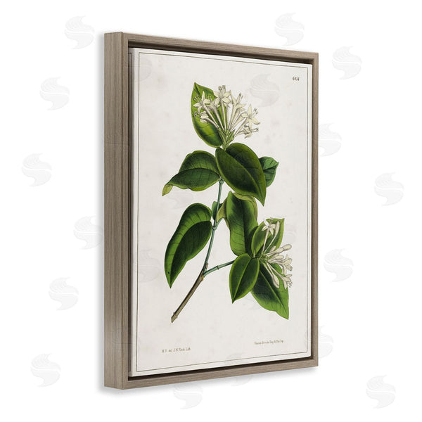 Stupell Industries Tina Higgins Designs Inc. | Blooming Vintage Study Wall Art