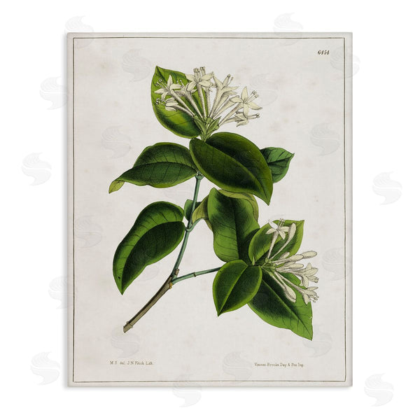 stupell industries Tina Higgins Designs Inc. | Blooming Vintage Study Wall Art